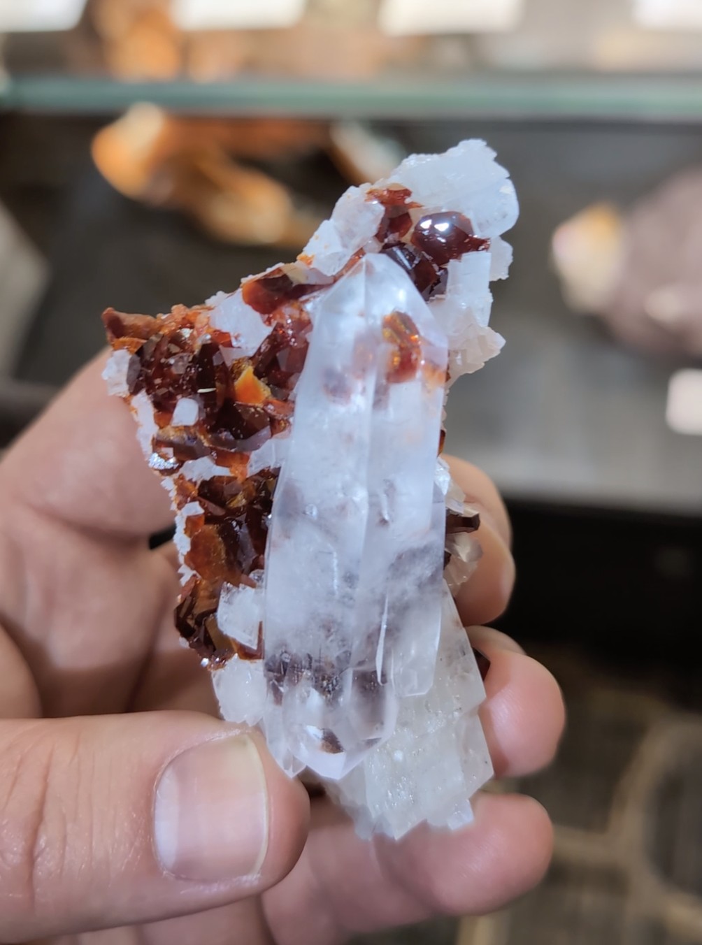 Quartz with Red Uvite Tourmaline - Doubly Terminated Crystal on Druse Matrix, Brazil